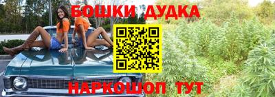 сатива Камышлов