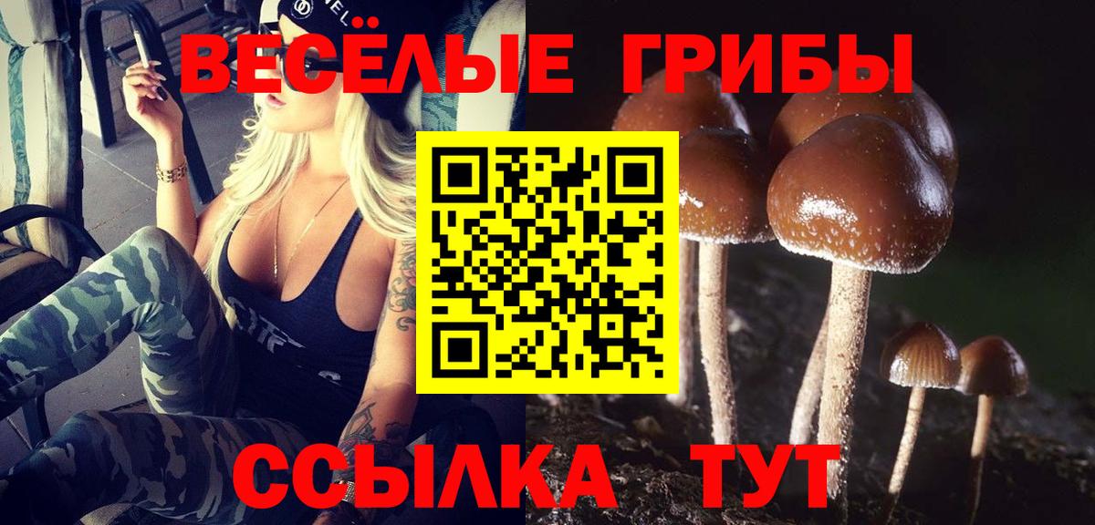 Псилоцибиновые грибы Psilocybine cubensis  Вход с VPN  Пугачёв 