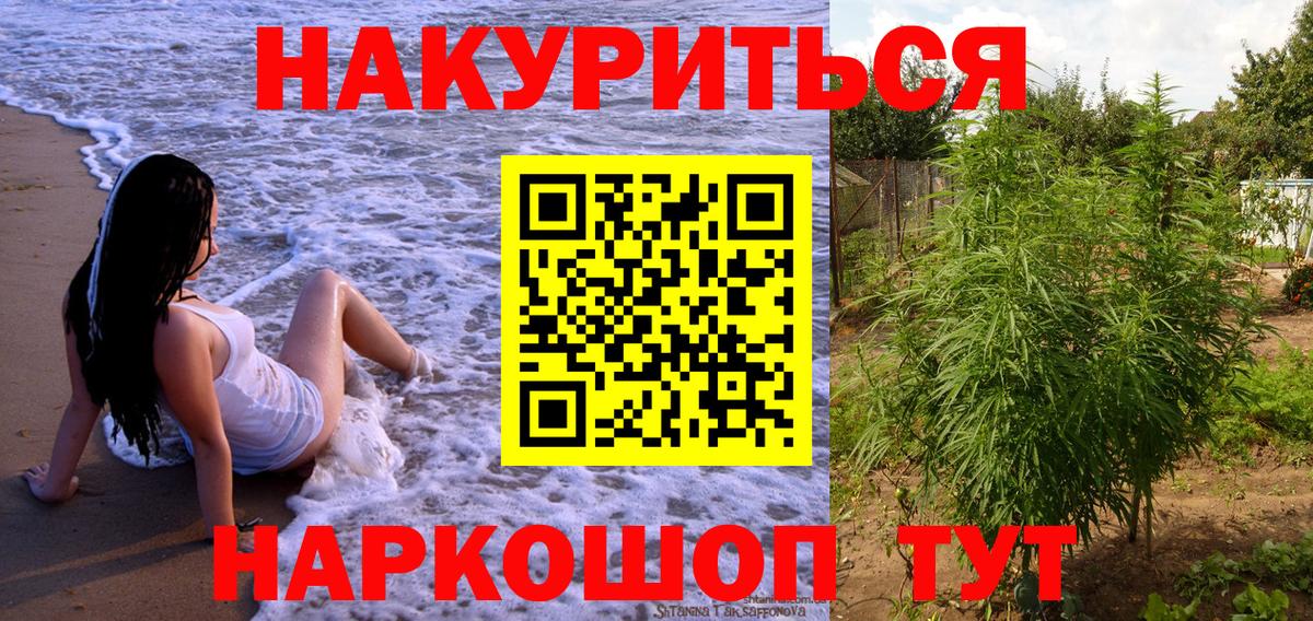 Пугачёв  Каннабис Bruce Banner  МАРИХУАНА OG Kush  Вход с VPN 